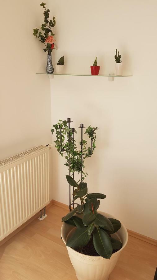 Evi'S Apartment เรเกนส์บวร์ก ภายนอก รูปภาพ